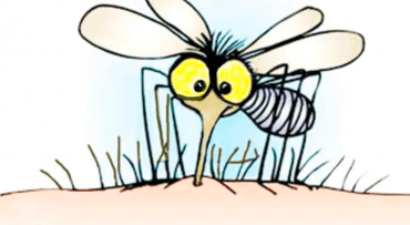 Captura de pantalla 2016-03-21 a la(s) 00.17.55