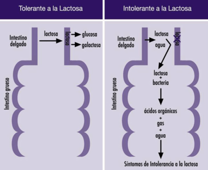 Captura de pantalla 2016-03-28 a la(s) 20.50.57