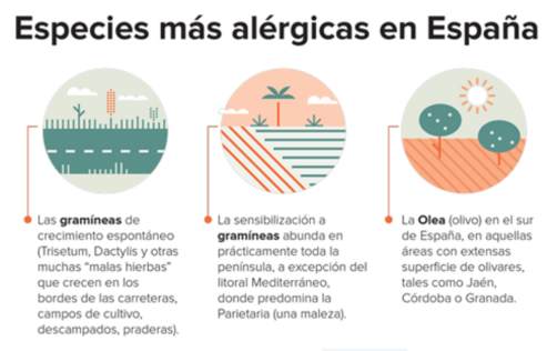 Captura de pantalla 2016-04-11 a la(s) 15.19.39