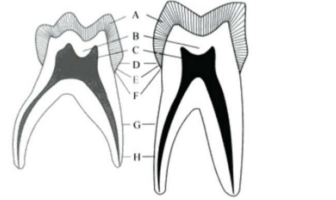Captura de pantalla 2016-05-31 a la(s) 23.44.39