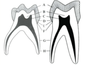 Captura de pantalla 2016-05-31 a la(s) 23.44.39