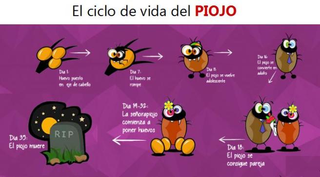 piojos1